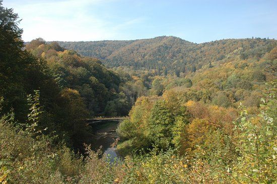 Rezerwat przyrody Przełom Osławy pod Duszatynem